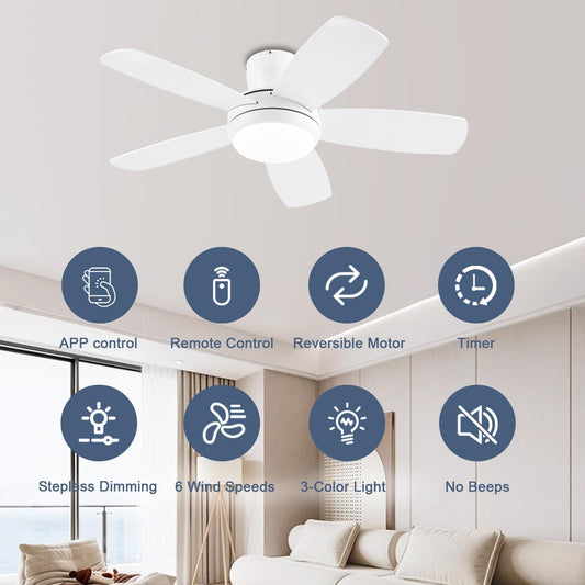 Ceiling Fan SY56