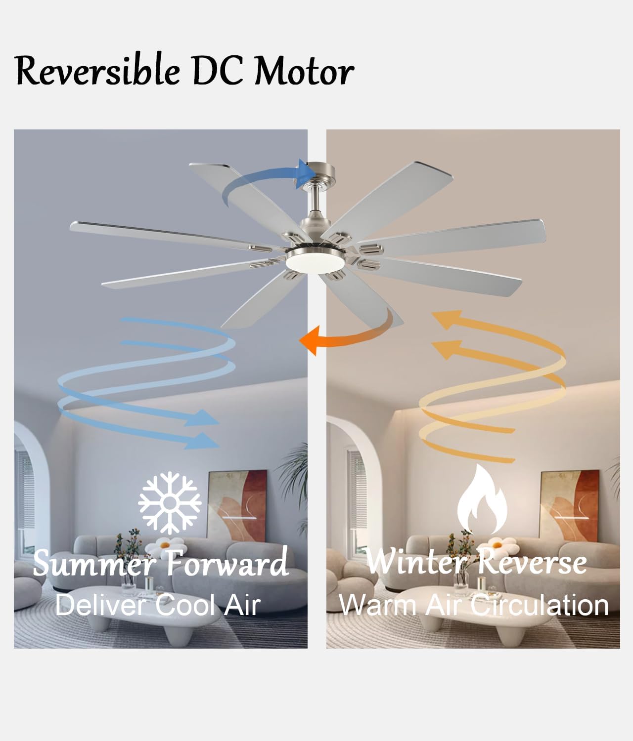 Ceiling Fan JL-89