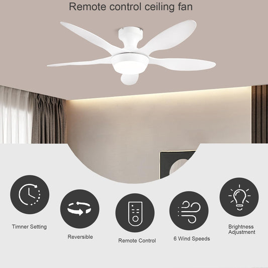 Ceiling Fan Gg-72