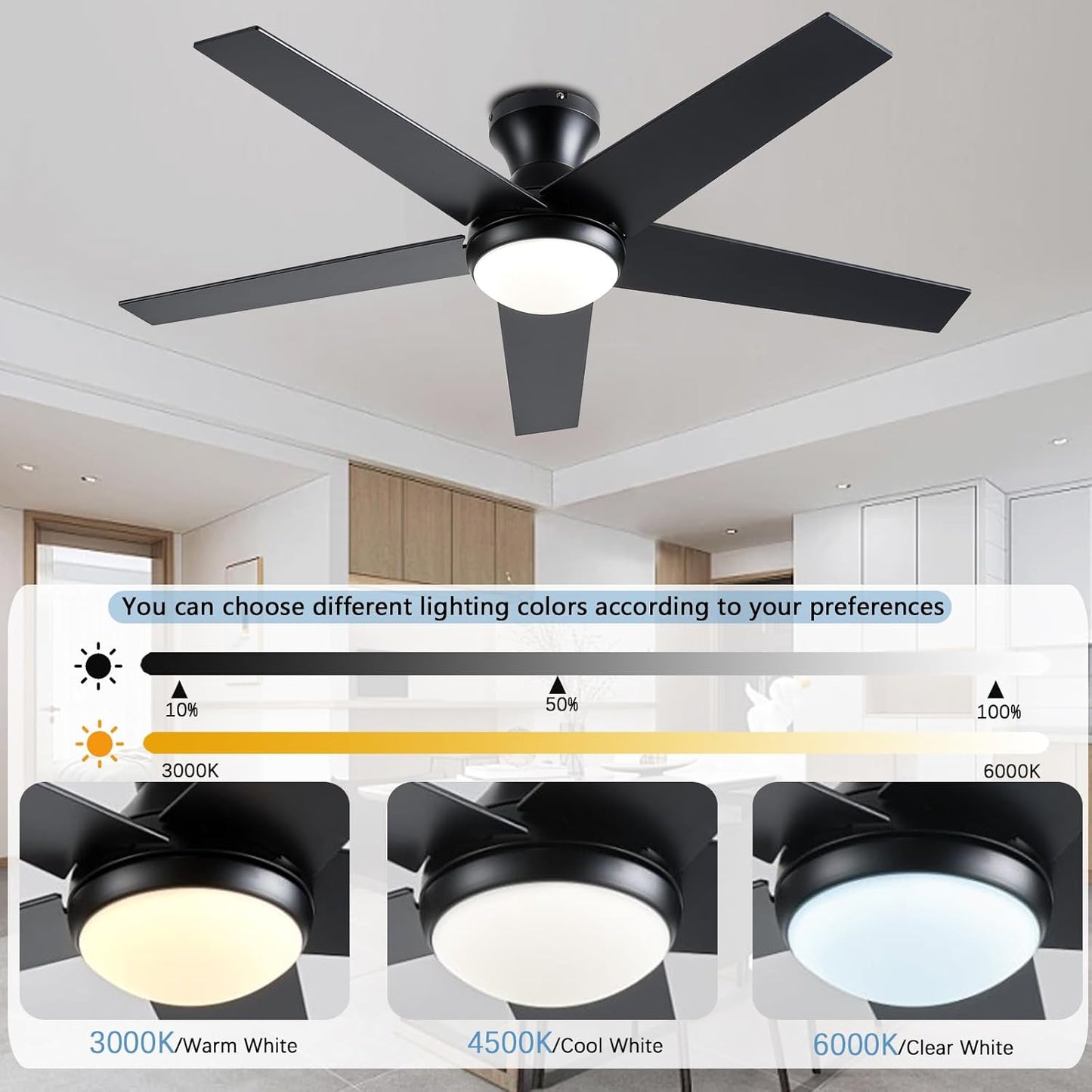 Ceiling Fan 78-48