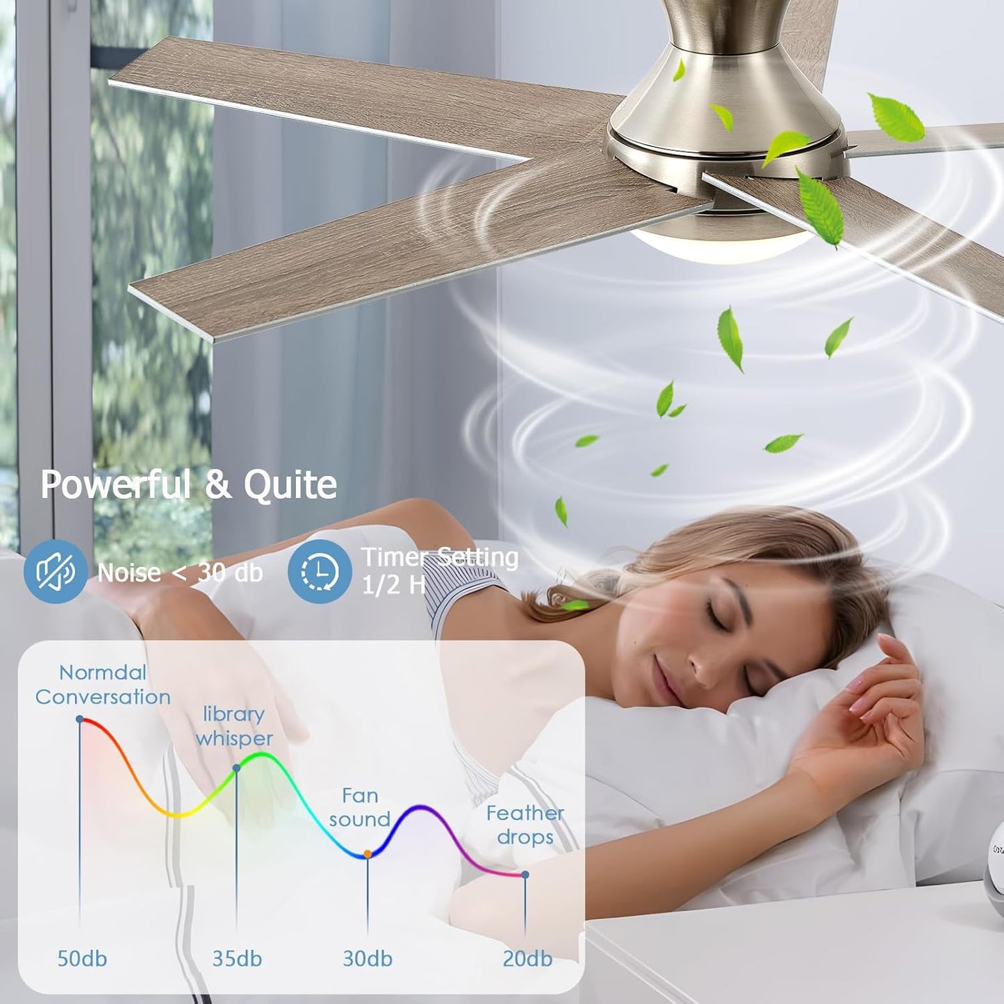 Ceiling Fan 78-48