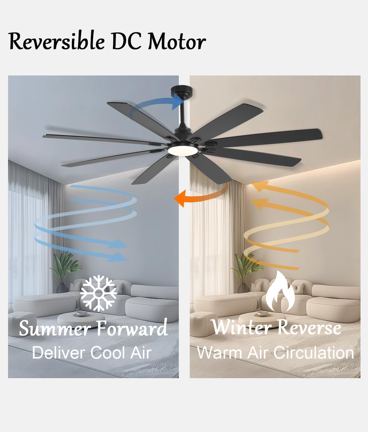 Ceiling Fan JL-89