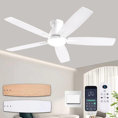 Ceiling Fan SY75