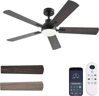 Ceiling Fan JL-53