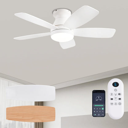 Ceiling Fan JL68