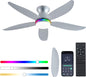 Ceiling Fan JL-61
