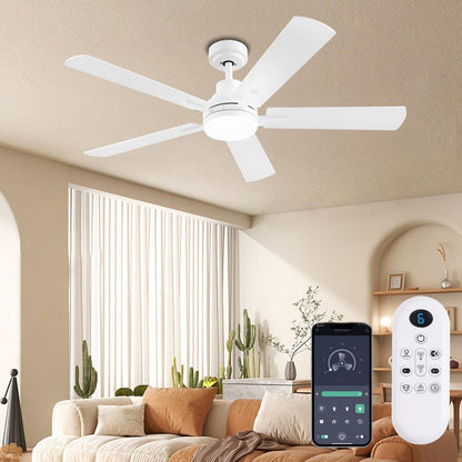 Ceiling Fan JL-53