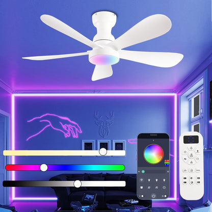Ceiling Fan SY73