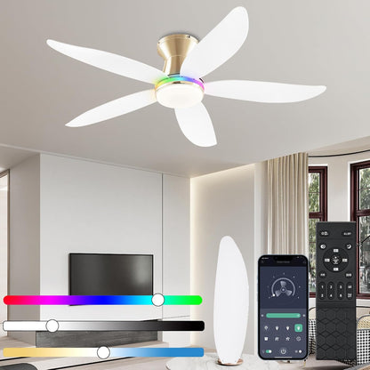 Ceiling Fan JL-61