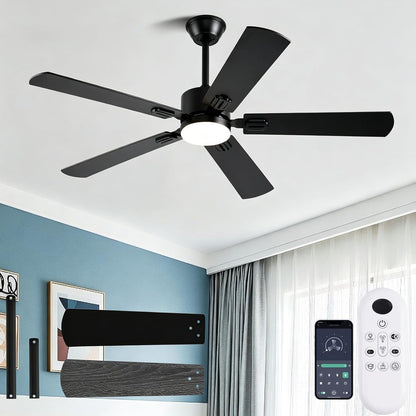 56inch Black Modern Ceiling Fans with Lights and Remote/App Control Reversible 6 Speeds DC Motor, Noiseless, Dimmable 3CCT LED, Memory Function, 5 Dual Finish Blades for Bedroom Living Room