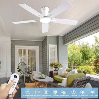 Ceiling Fan SY75