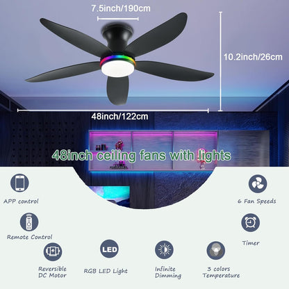 Ceiling Fan JL-61