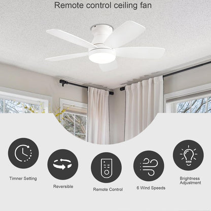 Ceiling Fan JL68