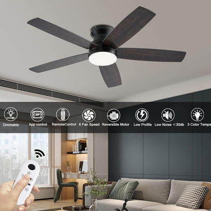 Ceiling Fan SY69