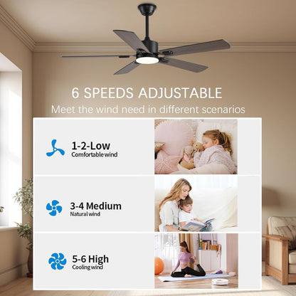 Ceiling Fan SY39