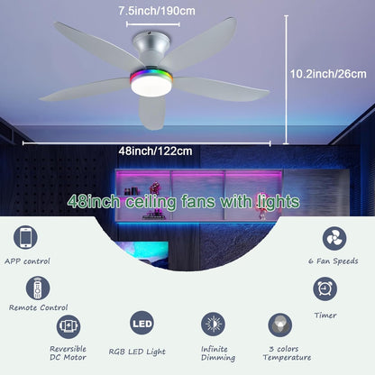 Ceiling Fan JL-61