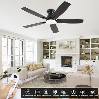 Ceiling Fan SY75