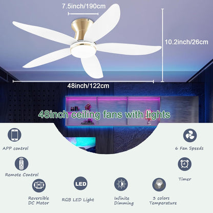 Ceiling Fan JL-61