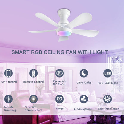Ceiling Fan SY73