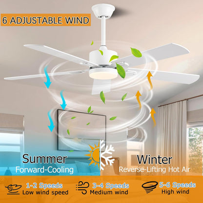 Ceiling Fan SY39