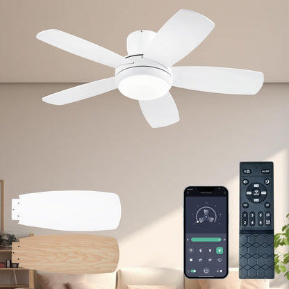 Ceiling Fan SY56