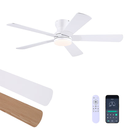 52inch Black Ceiling Fan with Light and Remote- Flush Mount Fan Light with 5 Reversible Blades, 3CCT Dimmable, DC, Low Profile Ceiling Fan for Indoor, Outdoor, Summer
