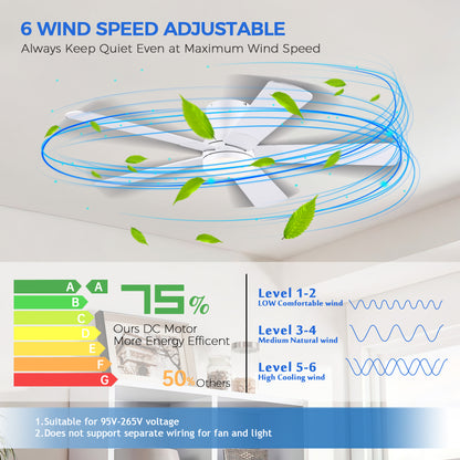 52inch Black Ceiling Fan with Light and Remote- Flush Mount Fan Light with 5 Reversible Blades, 3CCT Dimmable, DC, Low Profile Ceiling Fan for Indoor, Outdoor, Summer