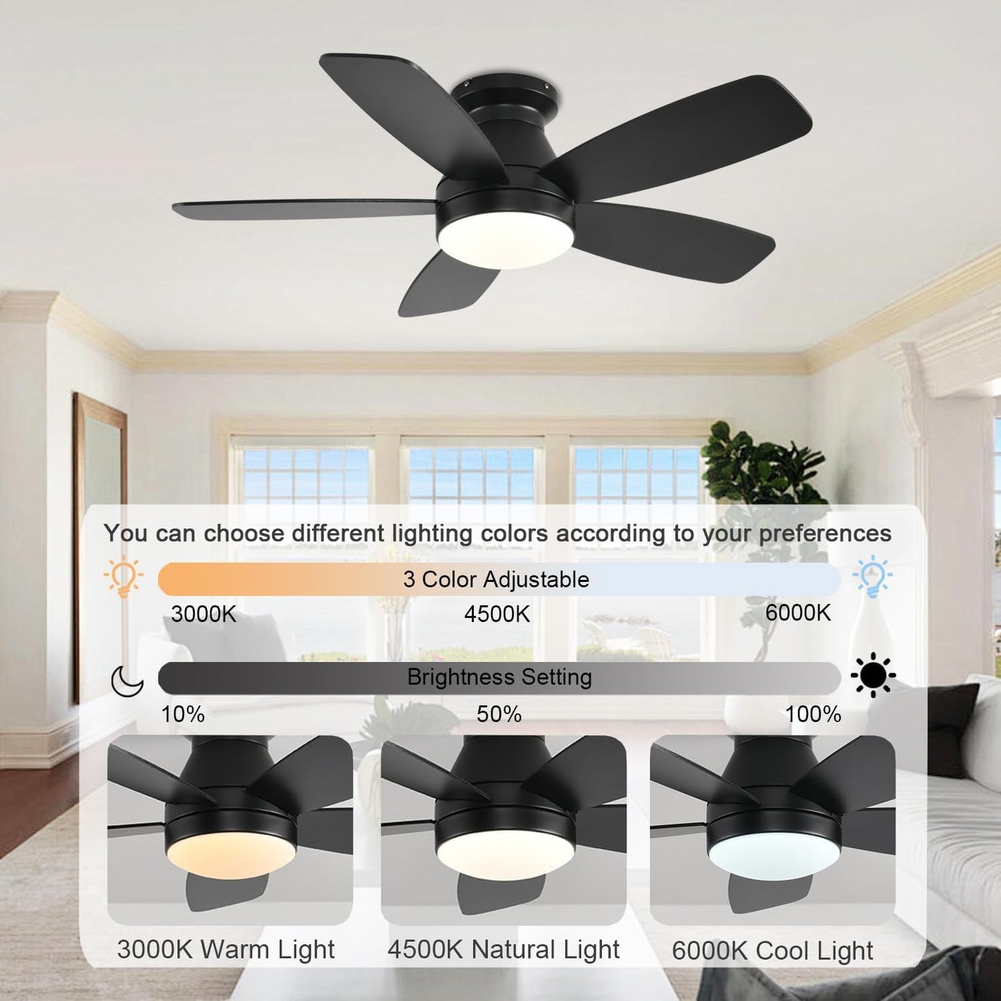 Ceiling Fan JL68