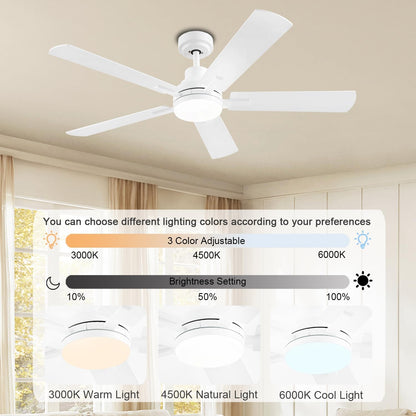 Ceiling Fan JL-53