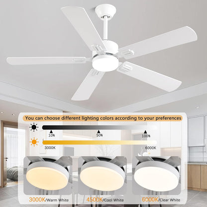 Ceiling Fan SY39