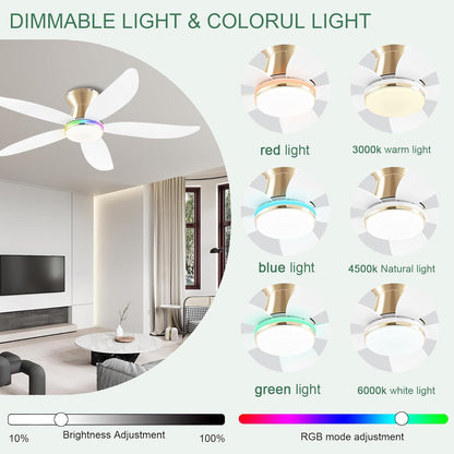 Ceiling Fan JL-61