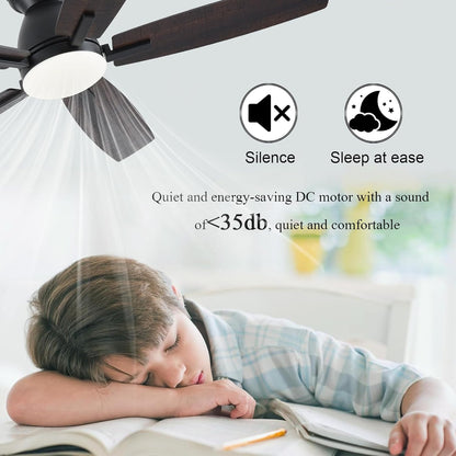 Ceiling Fan SY75