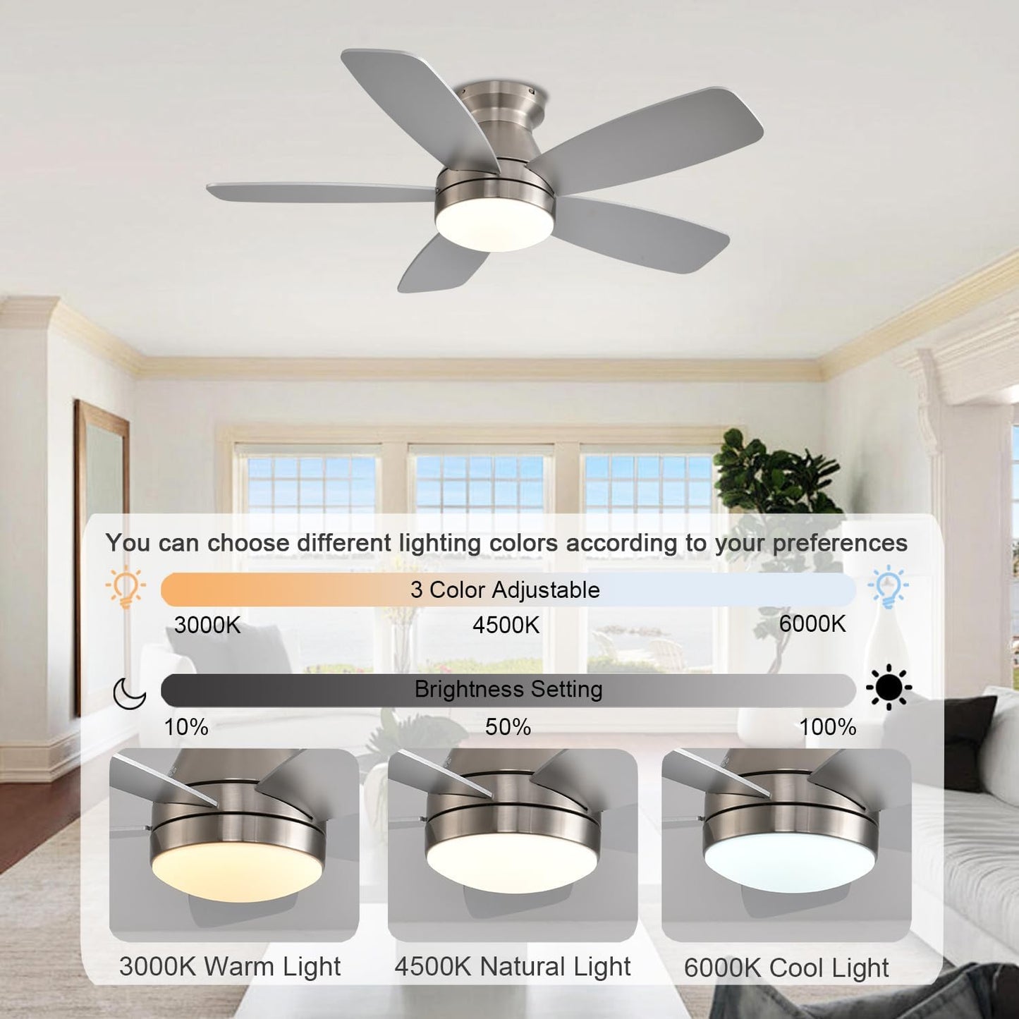 Ceiling Fan JL68