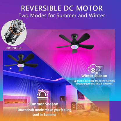 Ceiling Fan SY73