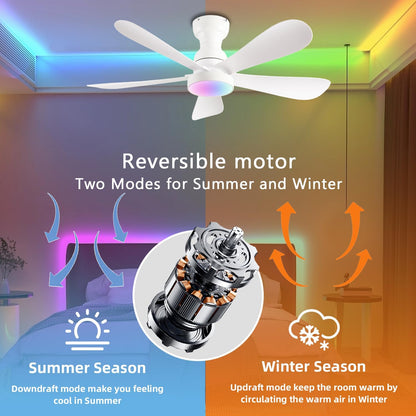 Ceiling Fan SY73
