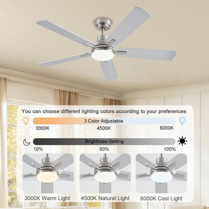 Ceiling Fan JL-53