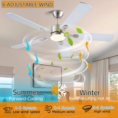 Ceiling Fan SY39
