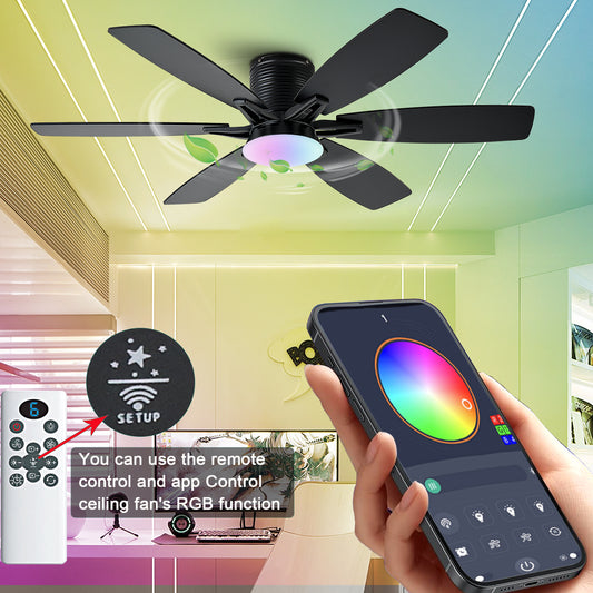52inch  Ceiling Fans with Lights and Remote/App Control, Low Profile Ceiling Fan with Light and 6 Double-Side blades, Flush Mount, LED/RGB Dimmable DC Reversible Modern Ceiling Fan for Bedroom