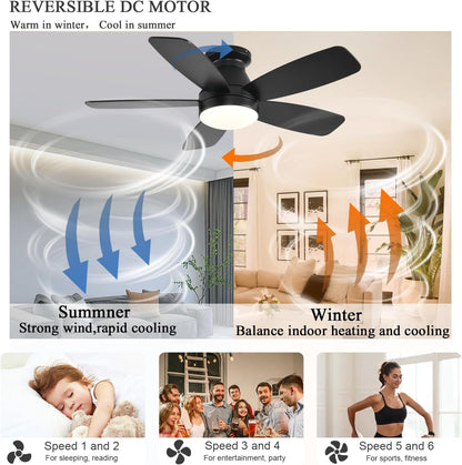 Ceiling Fan JL68