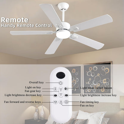 Ceiling Fan SY39