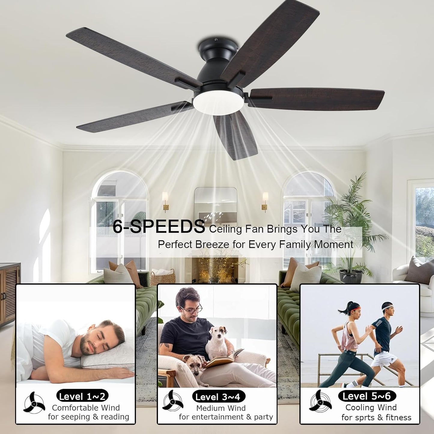 Ceiling Fan SY75