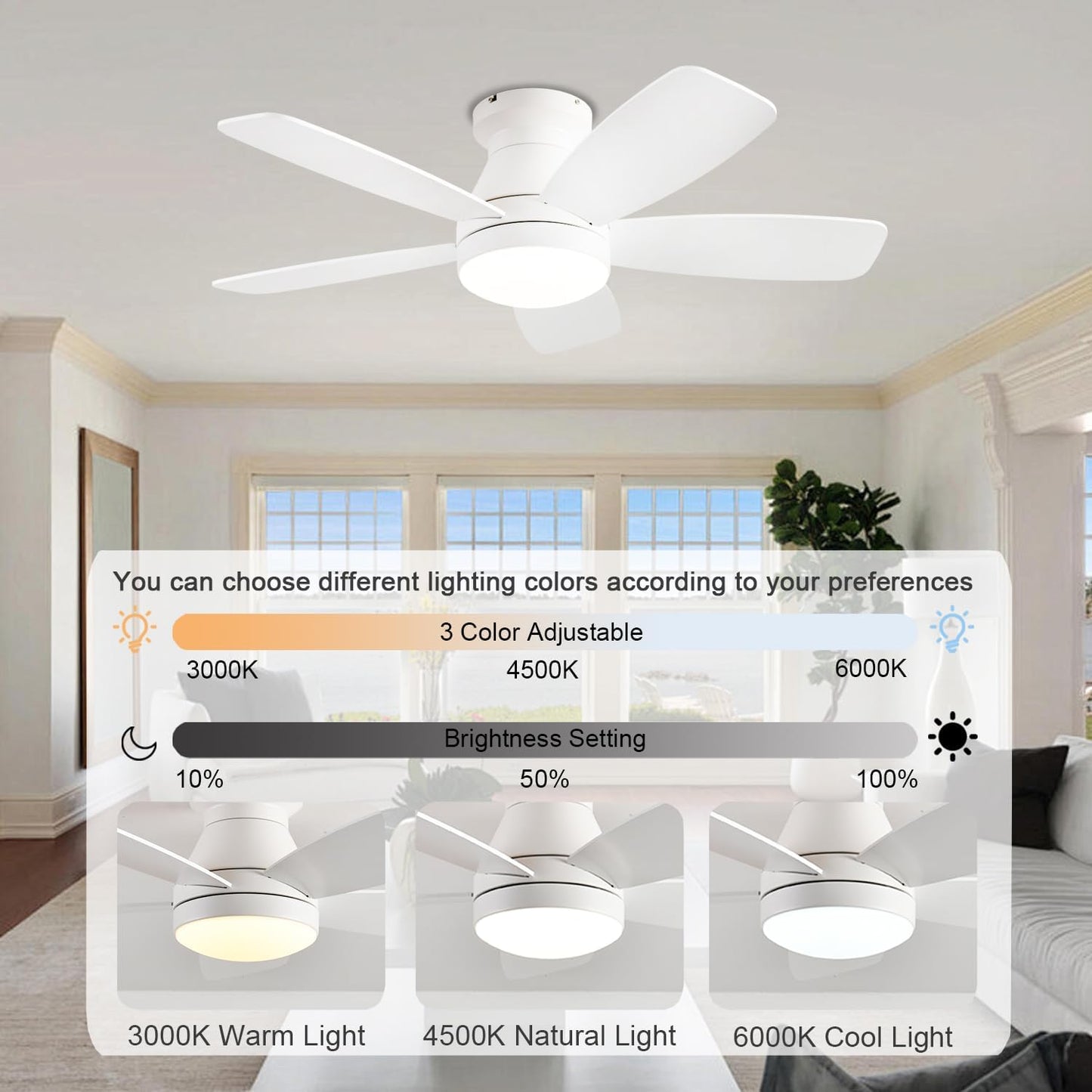 Ceiling Fan JL68