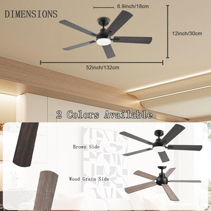 Ceiling Fan JL-53