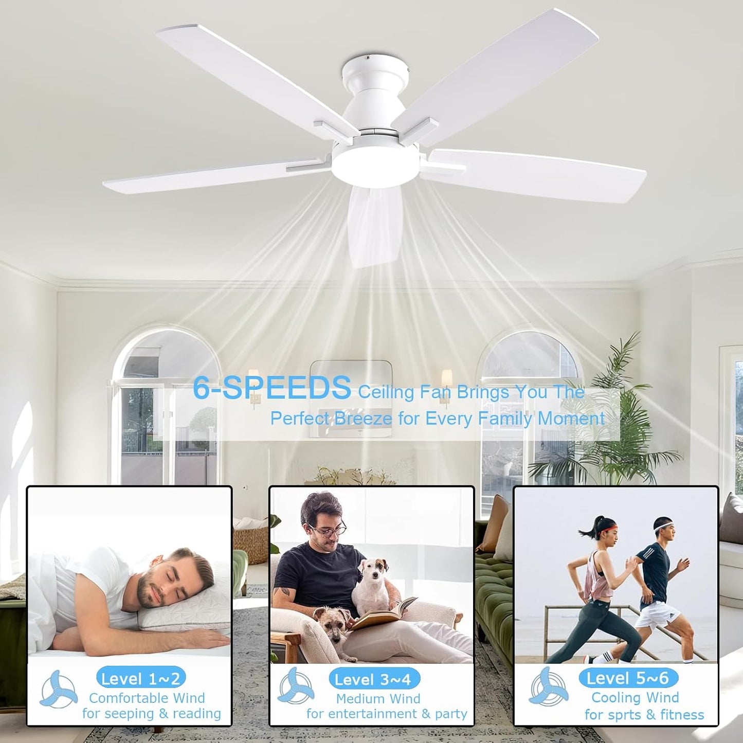 Ceiling Fan SY75