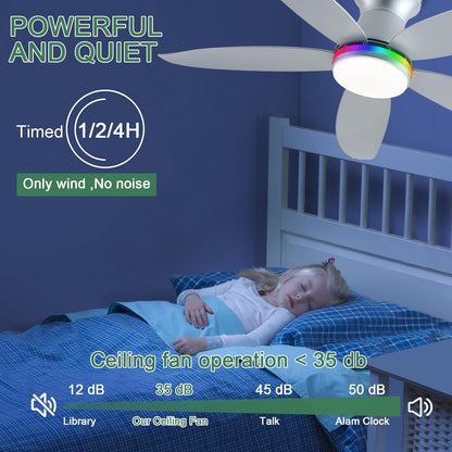 Ceiling Fan JL-61