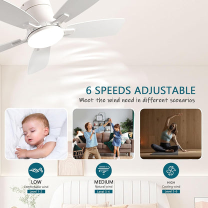 Ceiling Fan 38-52