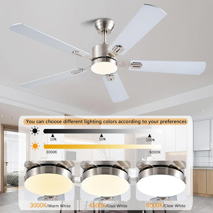 Ceiling Fan SY39