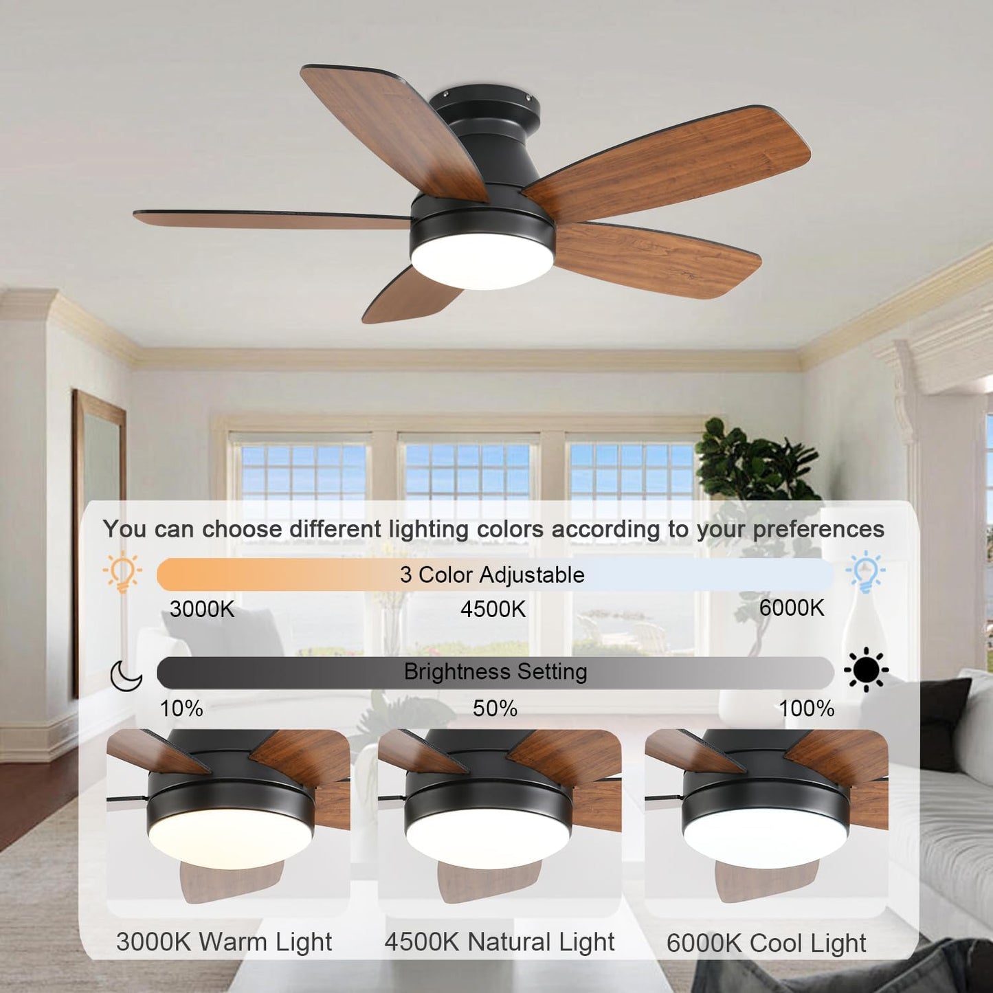 Ceiling Fan JL68