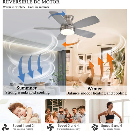 Ceiling Fan JL68
