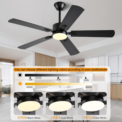 56inch Black Modern Ceiling Fans with Lights and Remote/App Control Reversible 6 Speeds DC Motor, Noiseless, Dimmable 3CCT LED, Memory Function, 5 Dual Finish Blades for Bedroom Living Room